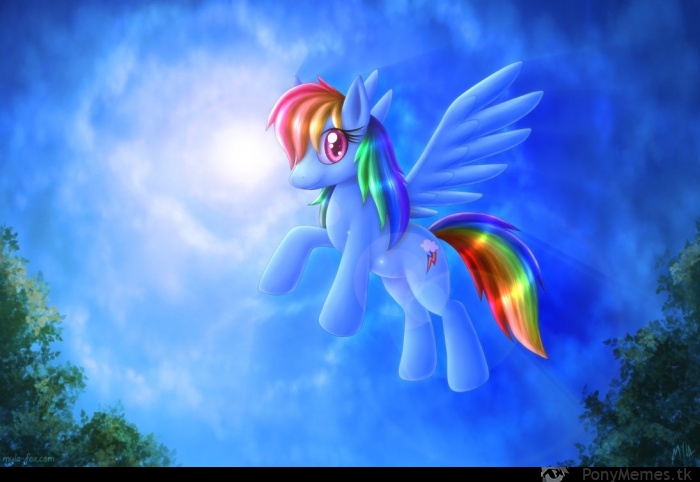 My Little Dashie