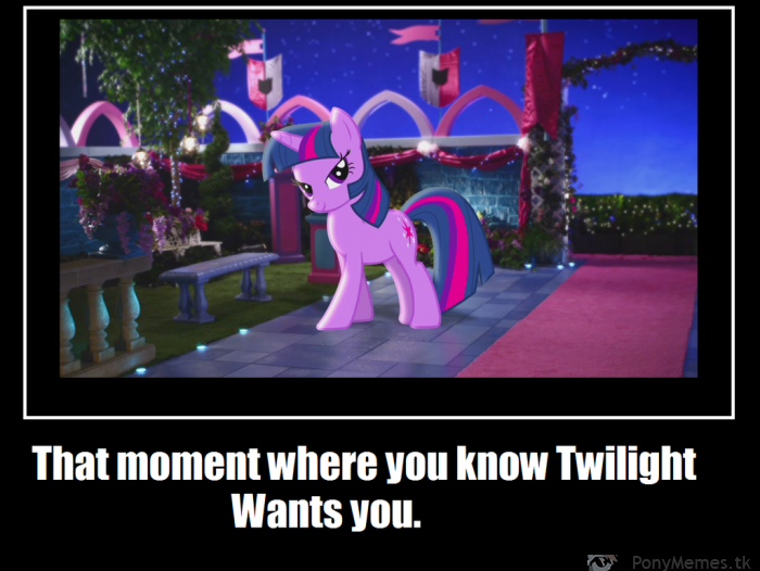 Twilight chce ciebie!