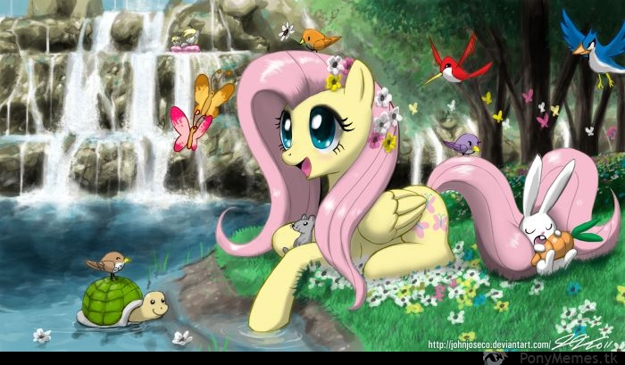 Fluttershy w plenerze