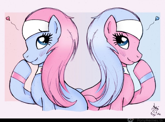 Spa Ponies