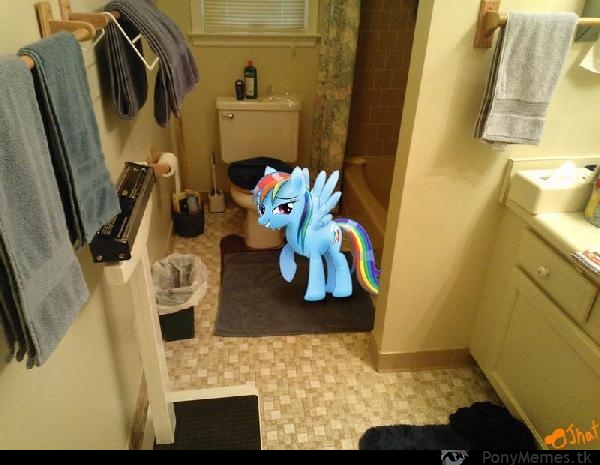 Rainbow w WC