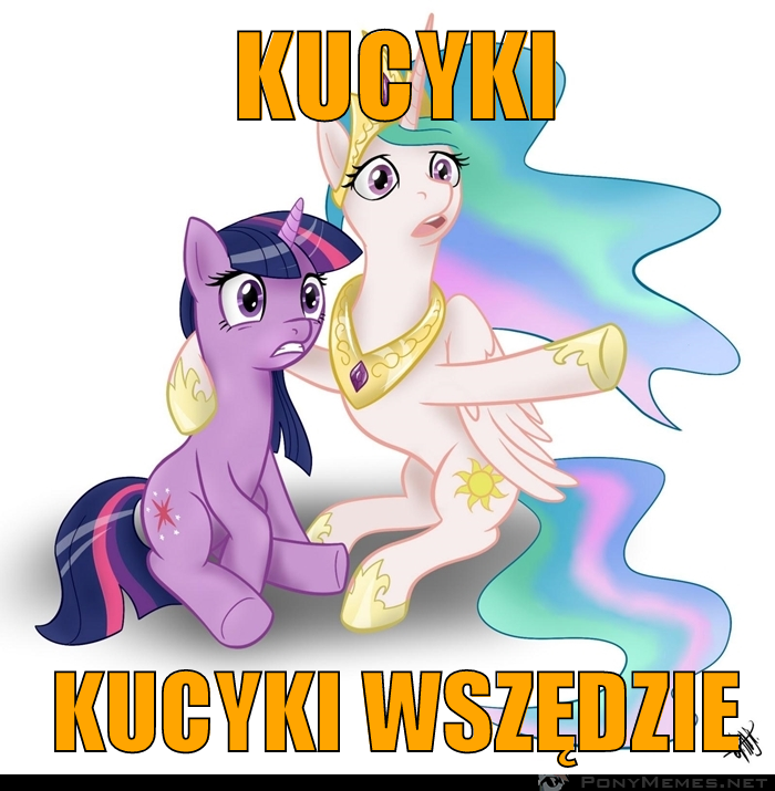 Wszędzie kucyki