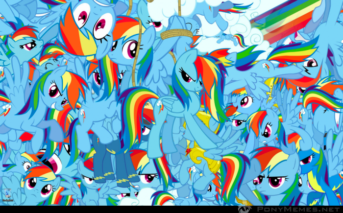 Za dużo Rainbow Dash