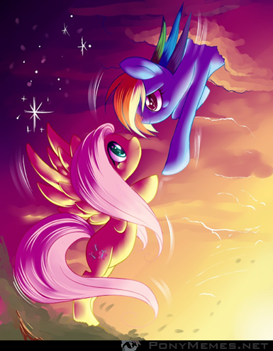 Fluttershy i Rainbow