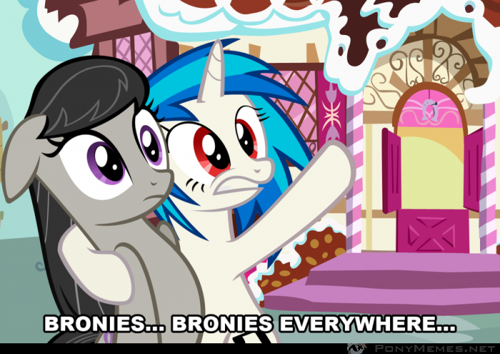 Bronies Everywhere