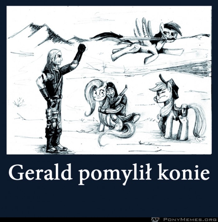 ponyłka wiedzmina