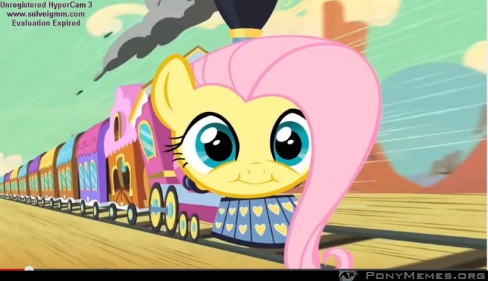 FluttherTrain