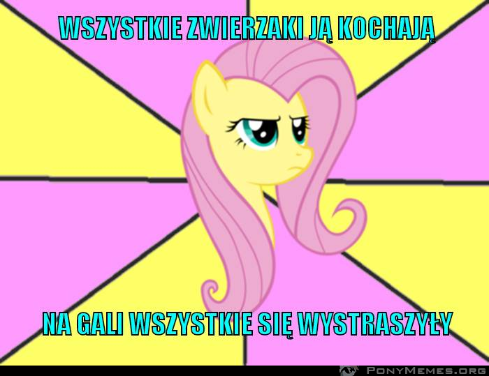 wszystkie zwierzaki