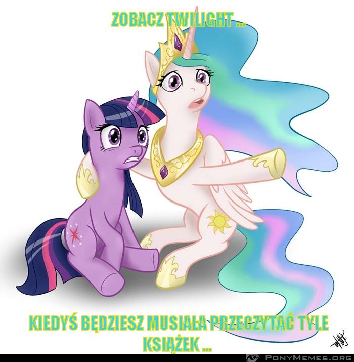 zobacz