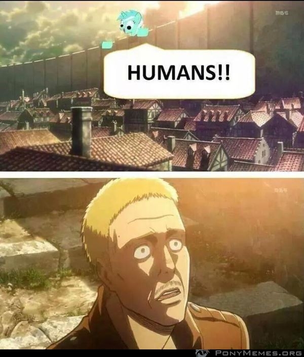 humans!