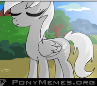 discorded derpy