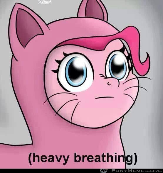 ponyfited meme