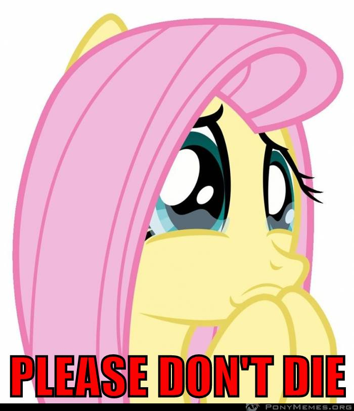 Flutter