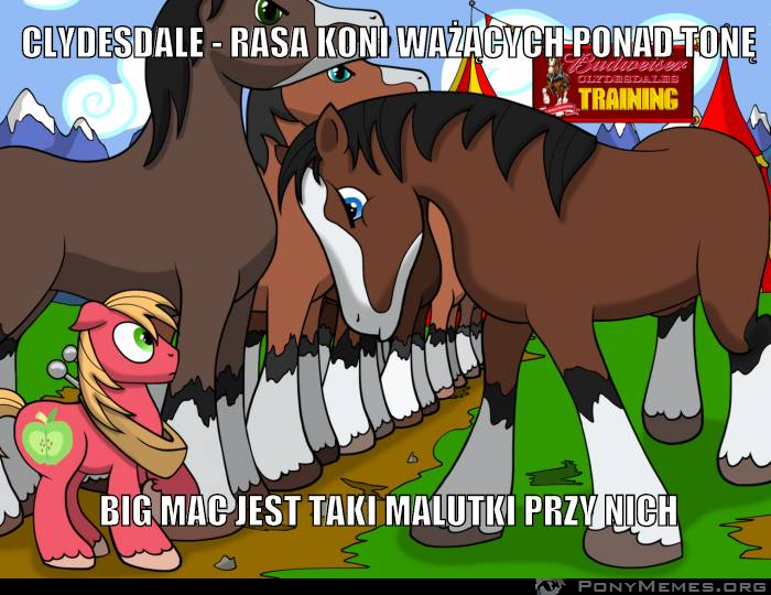 Big Mac nie taki duży...
