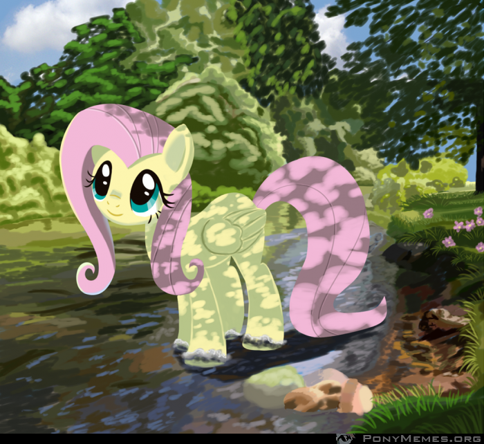Fluttershy