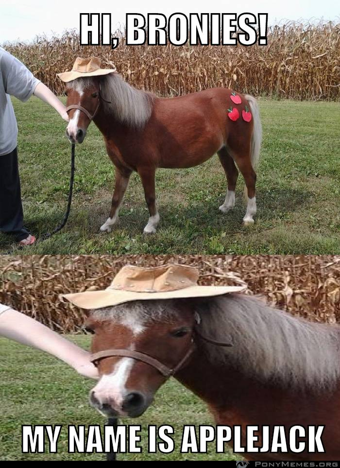 Real Applejack