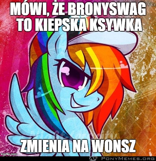 Bronyswag/Wonsz - logika