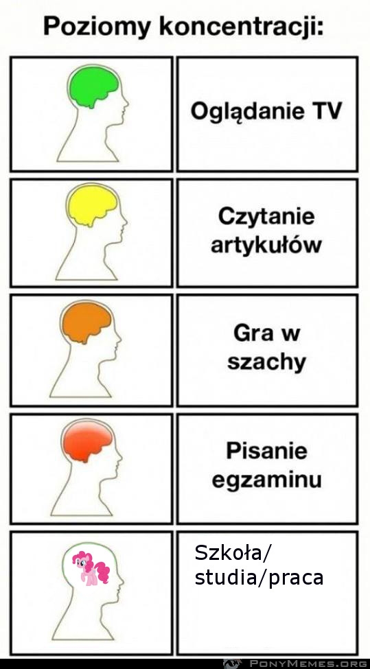 Bywa